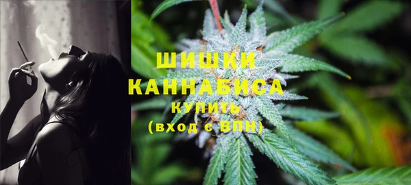прущий лед Каменка