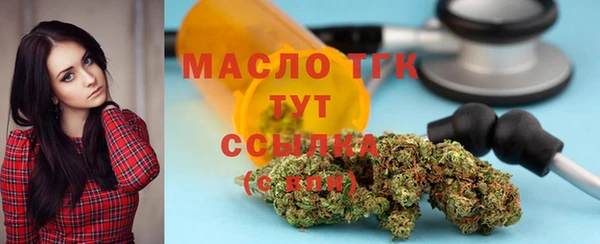 крисы Каменногорск