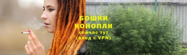 прущий лед Каменка