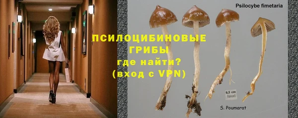 крисы Каменногорск