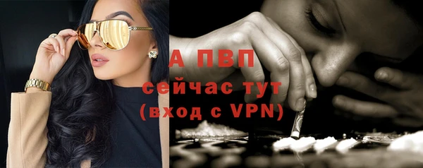прущий лед Каменка