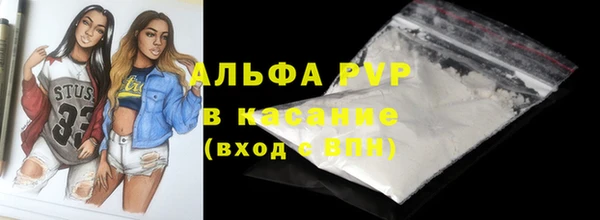крисы Каменногорск