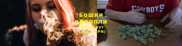 крисы Каменногорск
