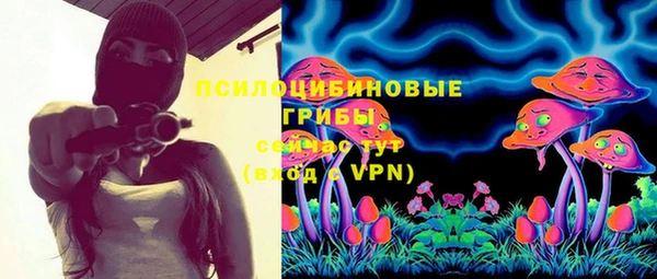 крисы Каменногорск