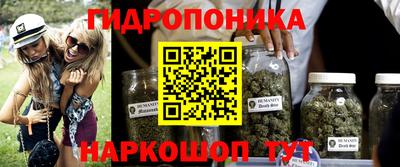 мяу мяу мука Гусь-Хрустальный
